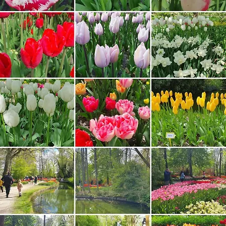 Luxe Vakantiebungalow Rust, Ruimte En Privacy * Dirkshorn