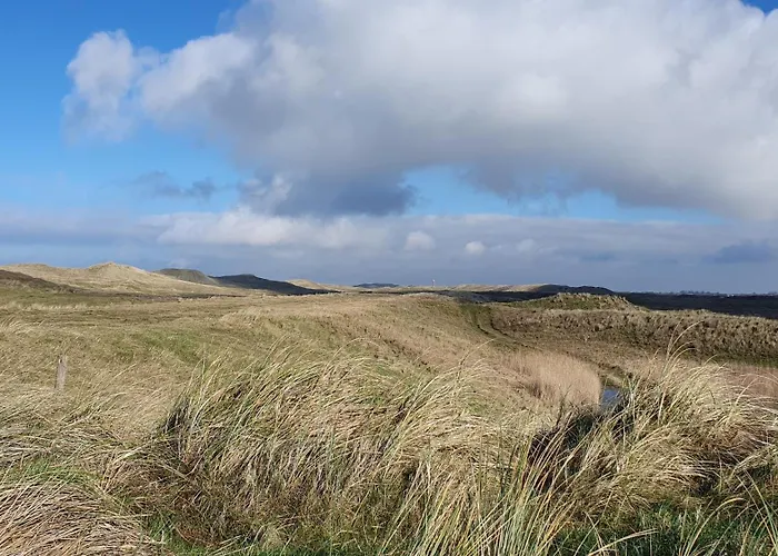 Luxe Vakantiebungalow Met Omheinde Tuin Voor Hond En *