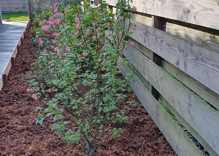 Luxe Vakantiebungalow Met Omheinde Tuin Voor Hond En