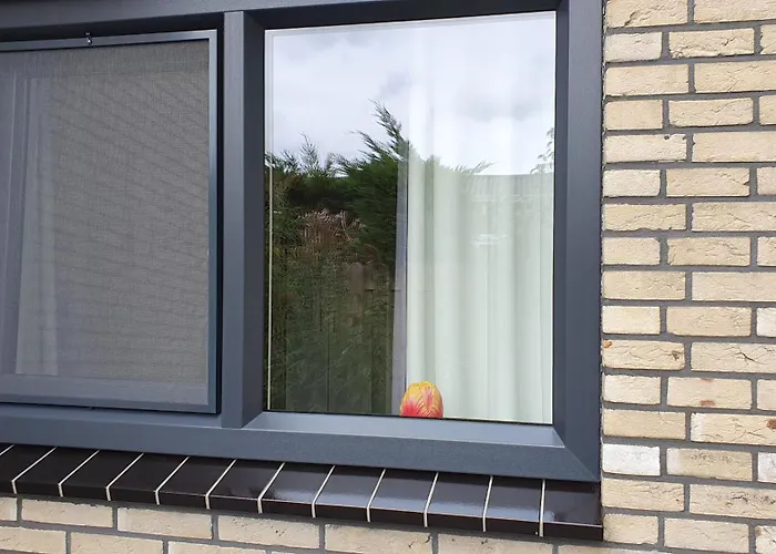 Luxe Vakantiebungalow Met Omheinde Tuin Voor Hond En