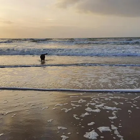 Luxe Vakantiebungalow Met Omheinde Tuin Voor Hond En Сasa de vacaciones