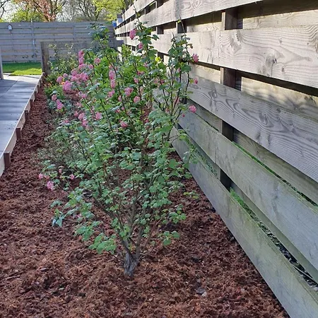 Luxe Vakantiebungalow Met Omheinde Tuin Voor Hond En