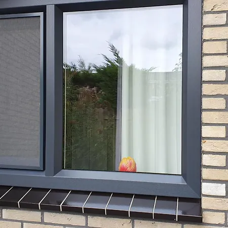 Luxe Vakantiebungalow Met Omheinde Tuin Voor Hond En